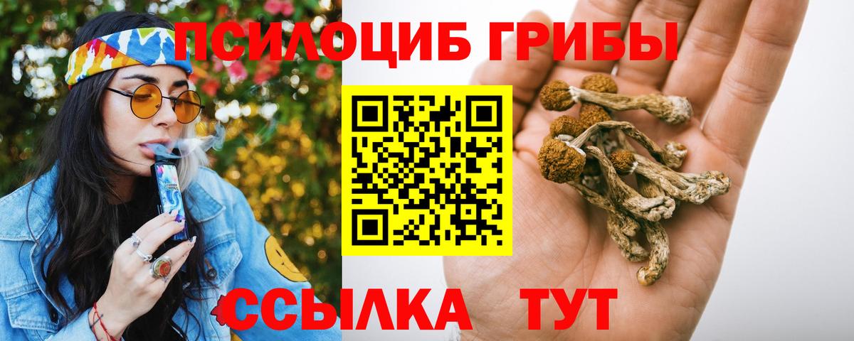 Севастополь  Псилоцибиновые грибы прущие грибы  Вход с VPN 